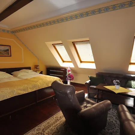 酒店 Garni -hotel Barbakan